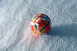 ガチャガチャの森：多彩なコレクションとトレンドを楽しめる人気店のご紹介