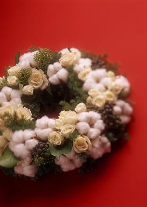 ガチャガチャの森：多彩な商品ラインナップと魅力的な体験を提供する革新的ガチャショップ